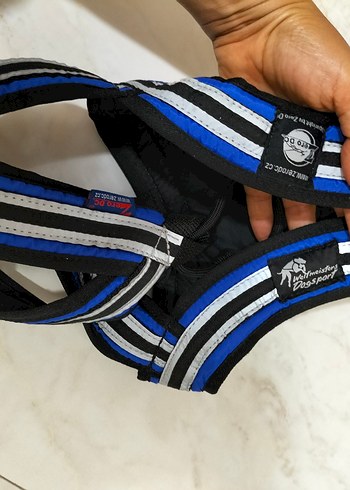 köpek tasma ı - Görsel 10