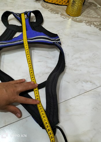 köpek tasma ı - Görsel 8