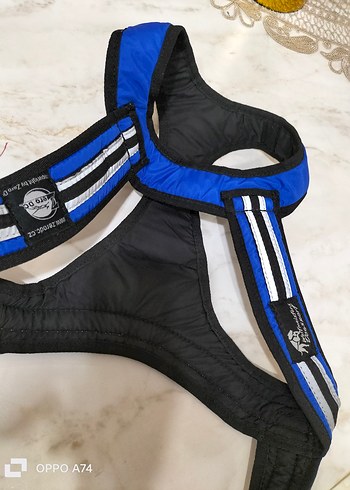 köpek tasma ı - Görsel 5