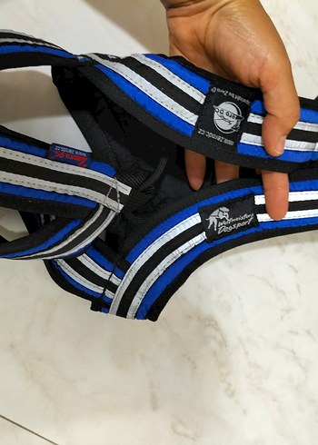 köpek tasma ı - Görsel 9