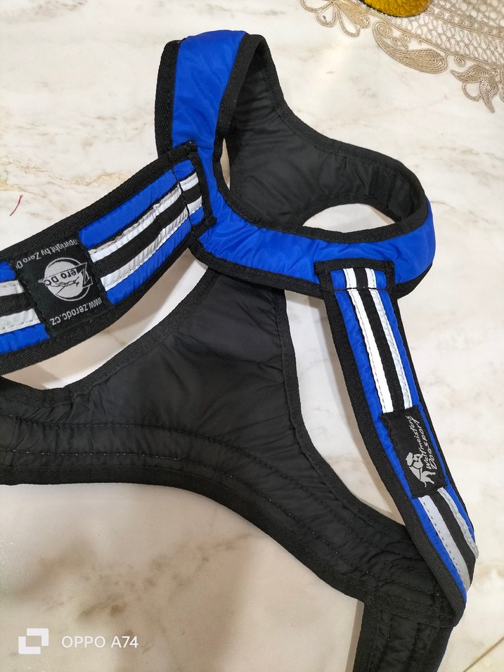 köpek  tasma ı - Görsel 5