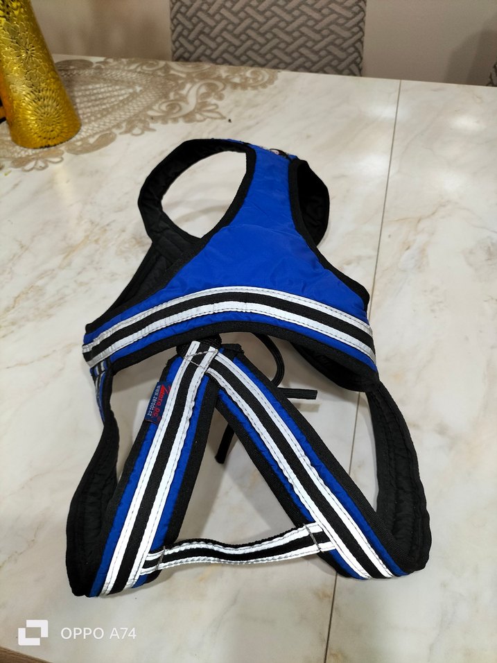 köpek  tasma ı - Görsel 2