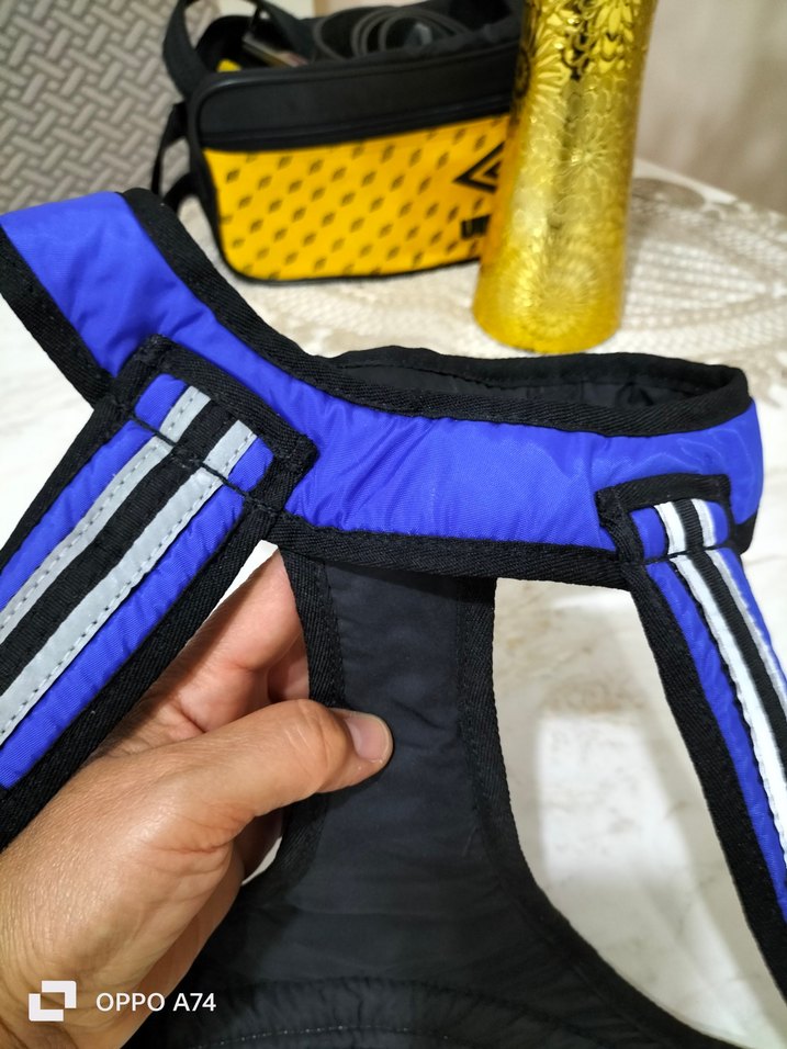 köpek  tasma ı - Görsel 3