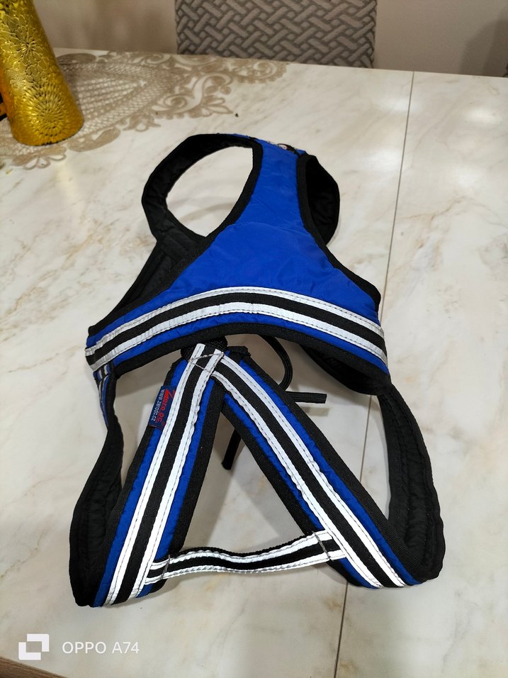 köpek  tasma ı - Görsel 4