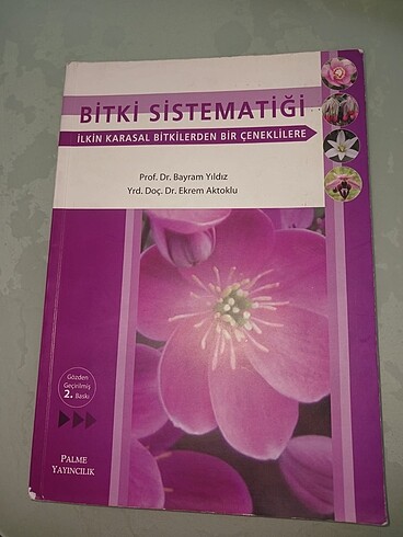 Palme Bitki Sistematiği