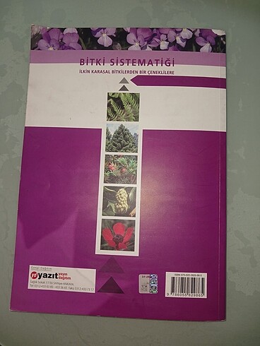  Palme Bitki Sistematiği