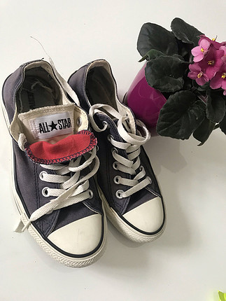 Lacivert convers