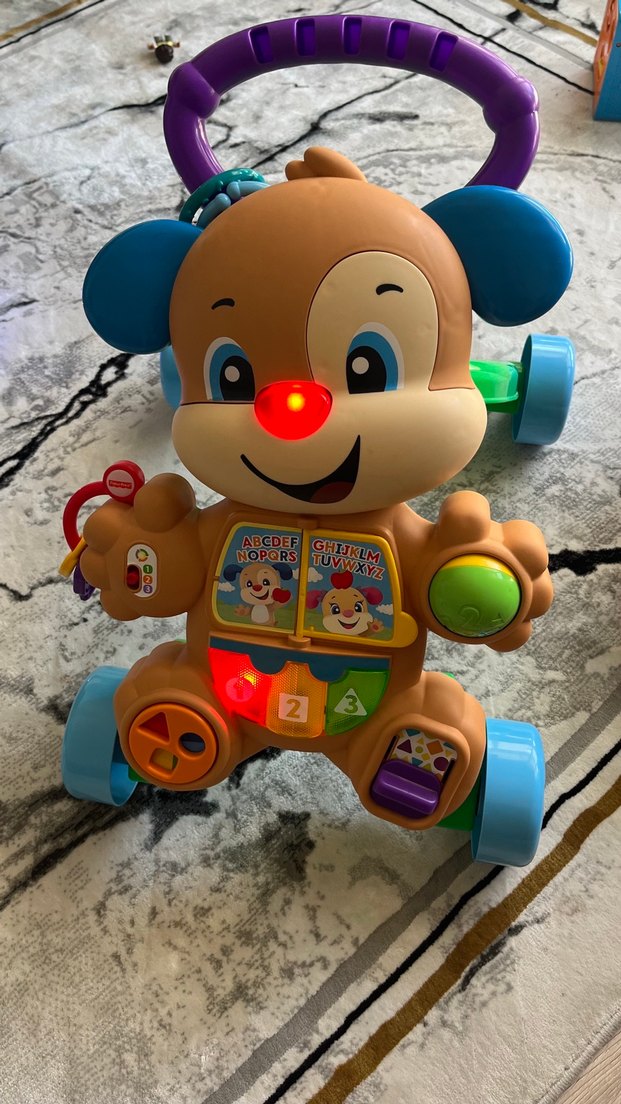 Renkli Işıklı Sesli Yürüme arkadaşı - Görsel 2