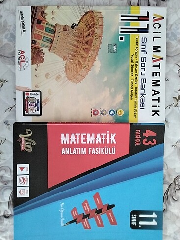 11. Sınıf matematik ayt 