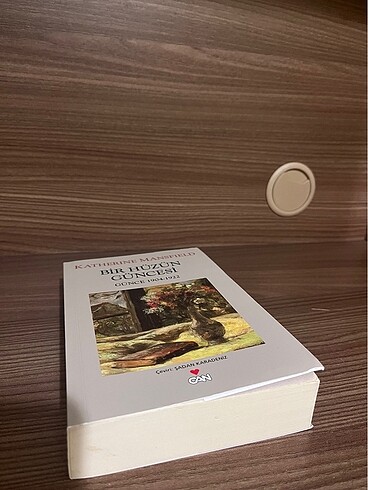 Bir Hüzün Güncesi - Görsel 2