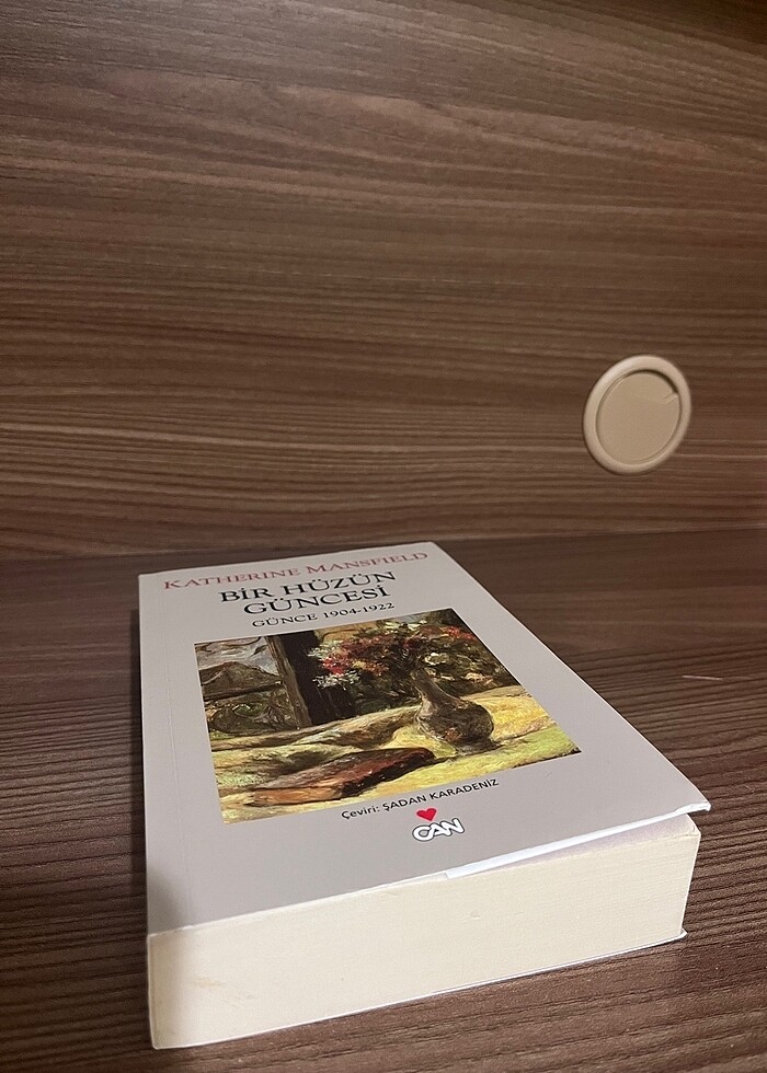 Bir Hüzün Güncesi - Görsel 2