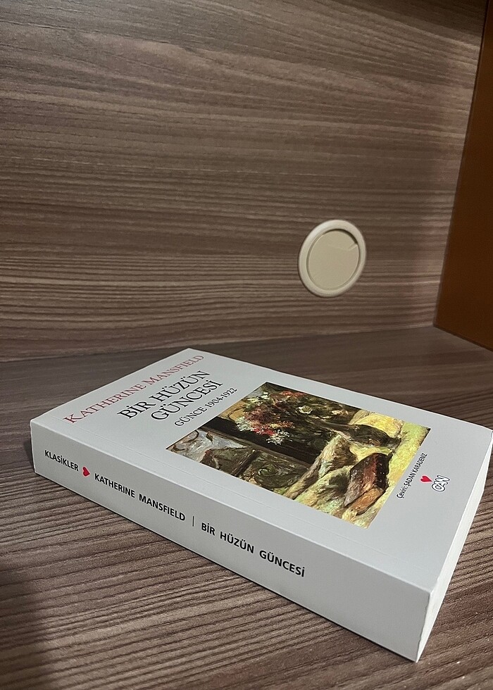 Bir Hüzün Güncesi - Görsel 3