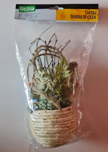Diğer Garden With Ware saksılı dekoratif çiçek.