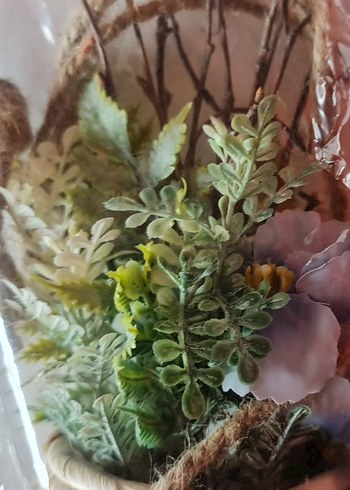 Beden çeşitli Renk Garden With Ware saksılı dekoratif çiçek.
