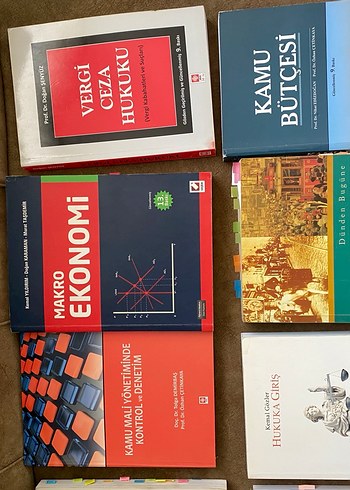 Bursa Uludağ Üniversitesi Maliye bölümü kitapları - Görsel 3