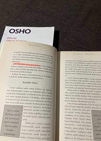 Osho'dan Yaratıcılık ve Cesaret Kitapları - Görsel 3