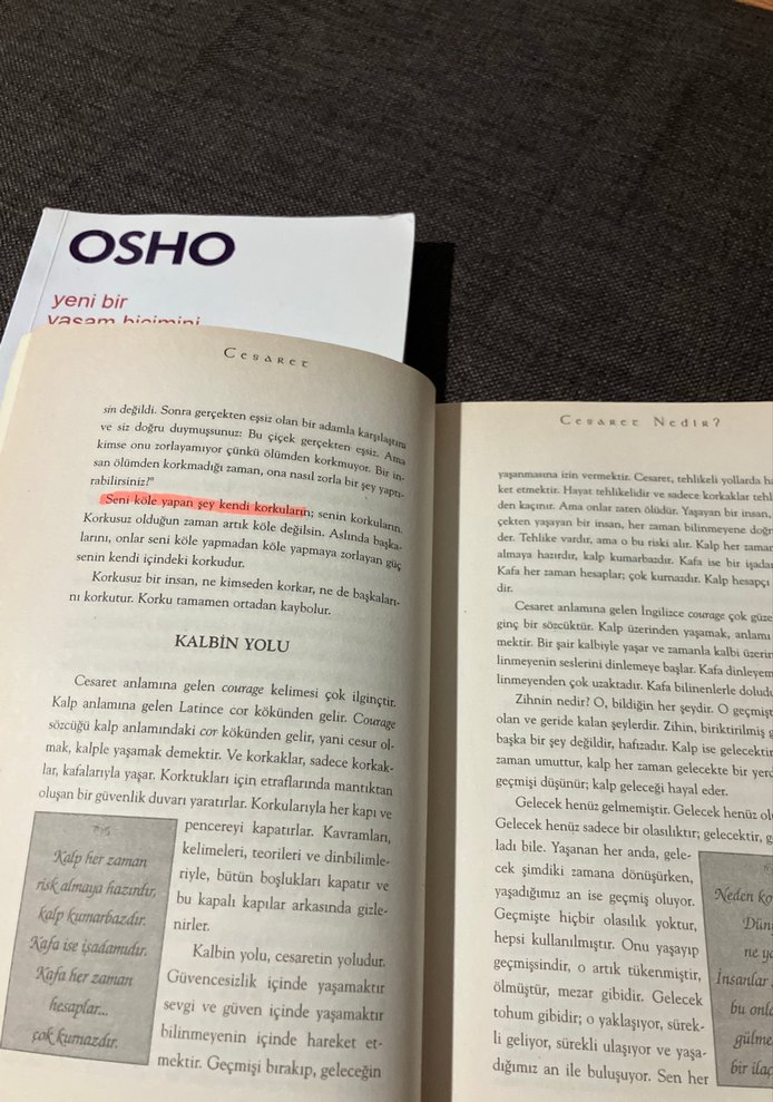 Osho'dan Yaratıcılık ve Cesaret Kitapları - Görsel 3