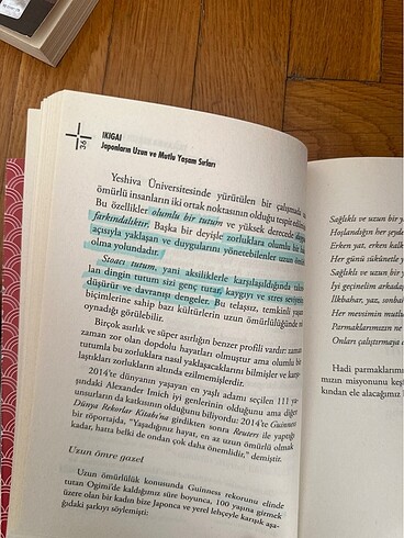  Beden IKIGAI