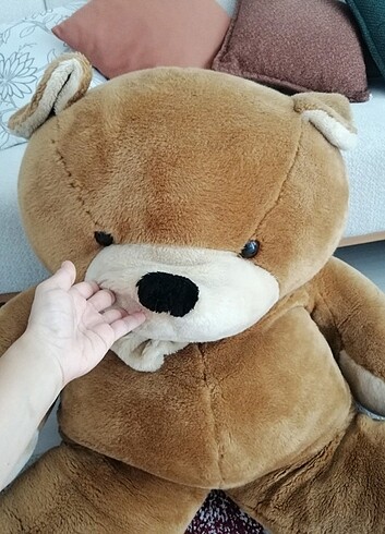 Diğer Büyük boy peluş ayı