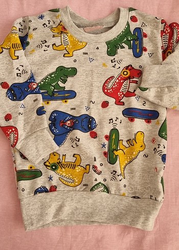 Renkli Baskılı Erkek Sweatshirt
