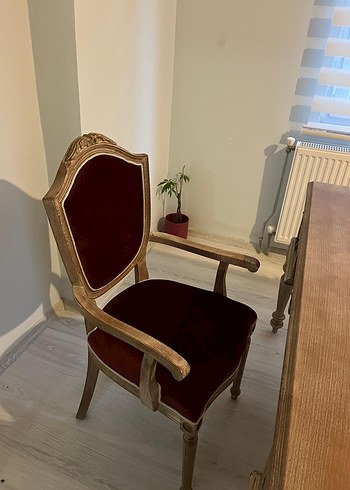  Beden Renk Ofis seti