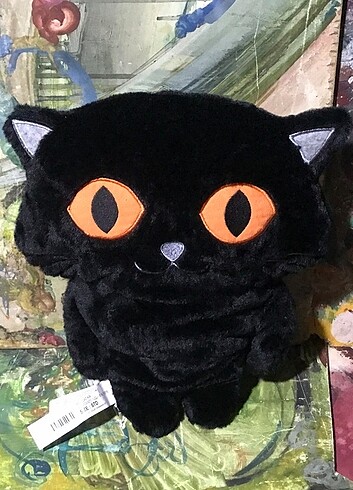Halloween Cat Party