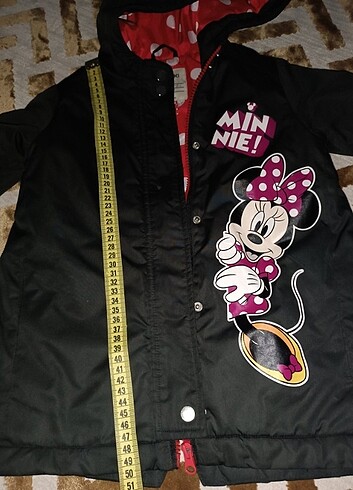 Minnie mouse mont