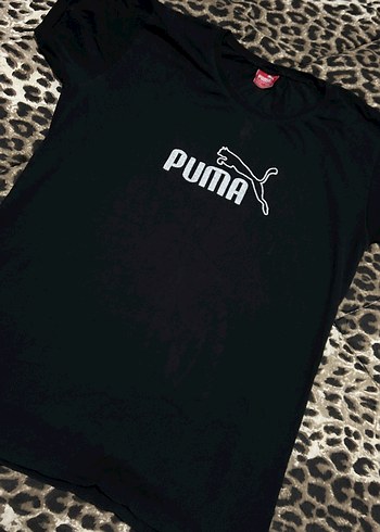 Puma m