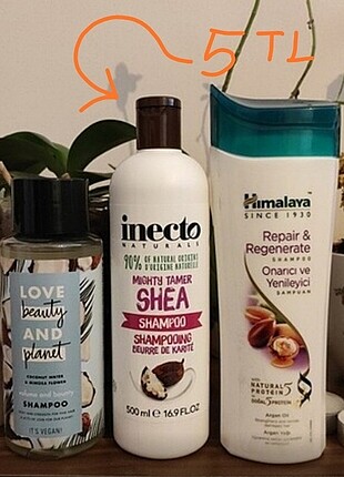 Inecto Shea Şampuan