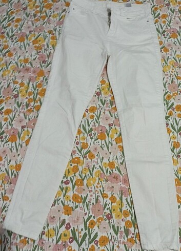 Kot pantolon