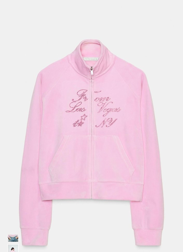 Zara Pembe Kadife Ceket - Görsel 4