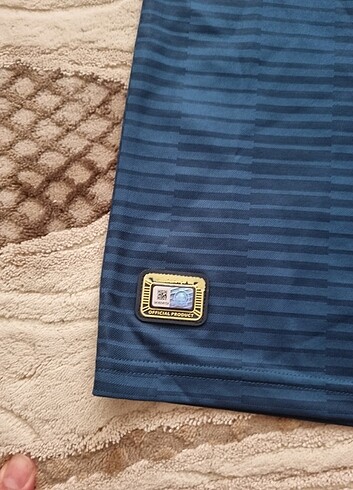 Fenerium Forma
