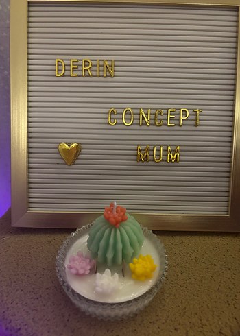 Pastel Renkli Dekoratif Mum Seti