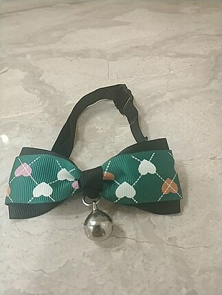 Kedi papyon tasma