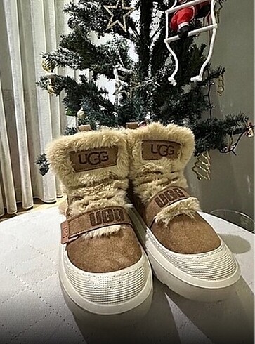 Ugg bot
