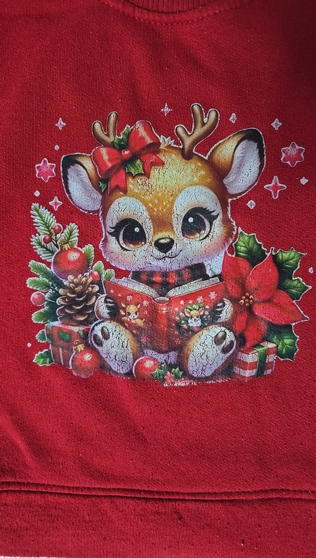 Kız Çocuk Kırmızı Baskılı Sweatshirt - Görsel 2