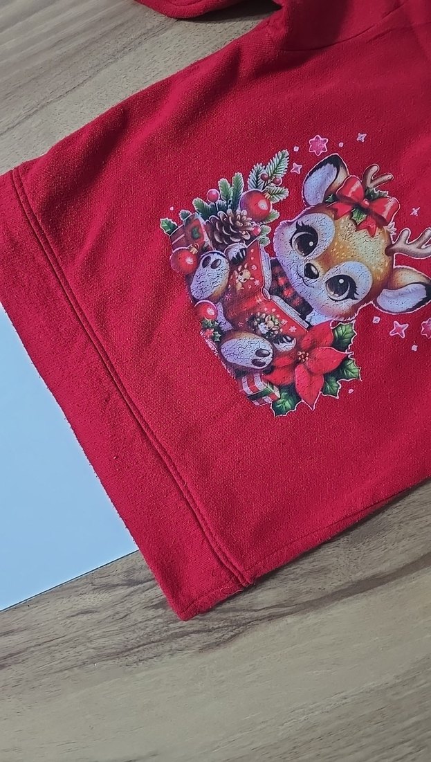 Kız Çocuk Kırmızı Baskılı Sweatshirt - Görsel 4