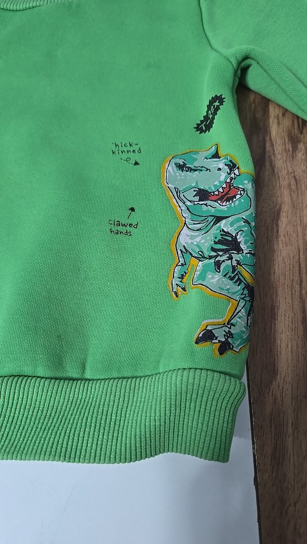 Erkek Çocuk Yeşil Baskılı Sweatshirt - Görsel 2