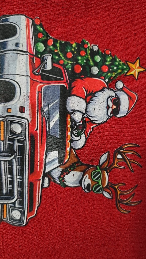 Kırmızı Baskılı Erkek Çocuk Sweatshirt - Görsel 5