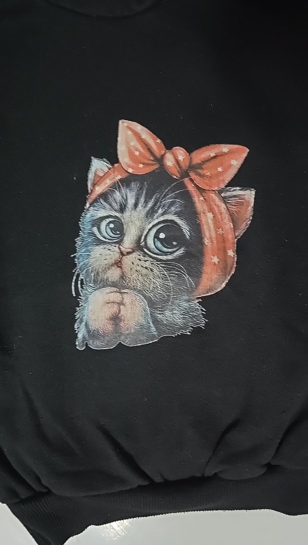 Kız Çocuk Kapüşonlu Baskılı Sweatshirt - Görsel 2