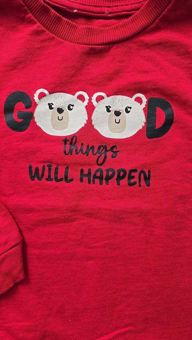 Kırmızı Baskılı Erkek Sweatshirt - Görsel 2