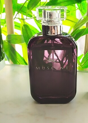 Muscent bulgari omnia crystalline
