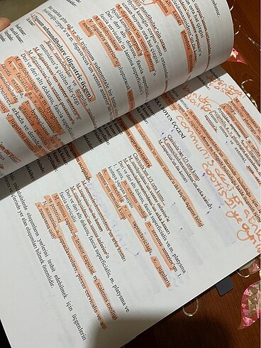  baş boyun anatomisi