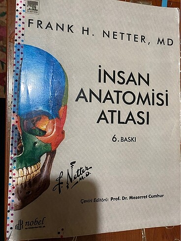 insan anatomisi atlası