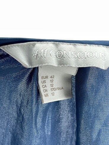 42 Beden çeşitli Renk H&M Bluz %70 İndirimli.