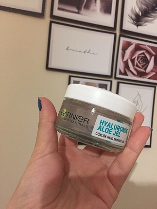Garnier Nemlendirici