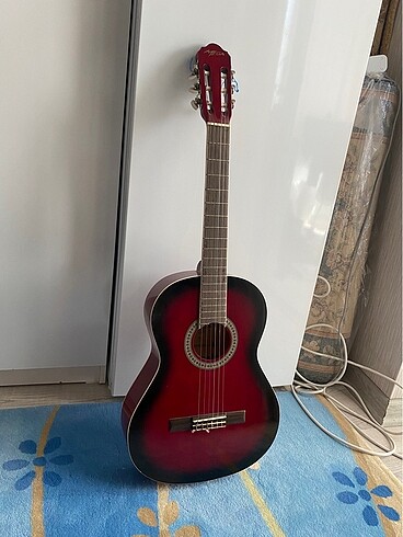 Akustik gitar
