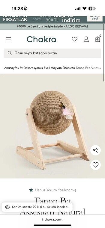 Kedi tırmığı - Görsel 5