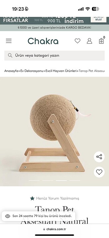 Kedi tırmığı - Görsel 6