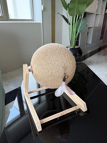 Kedi tırmığı - Görsel 3